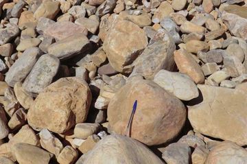 Gravera Las Omañas natural piedra ornamental